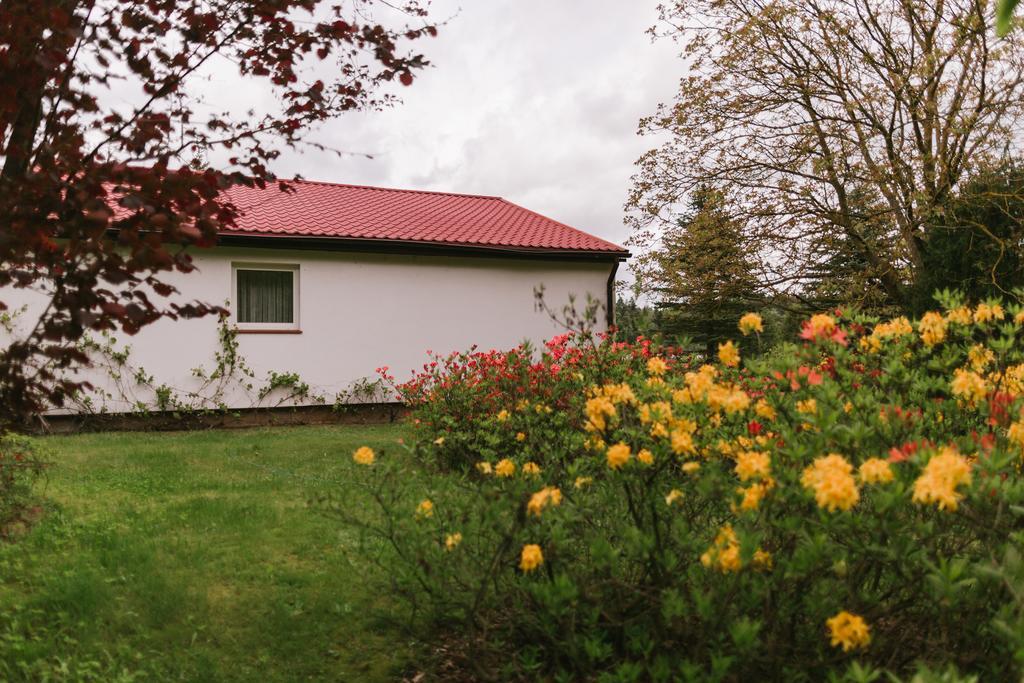 Bed and Breakfast Bobrowa Dolina Рын Экстерьер фото