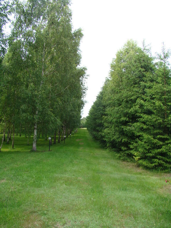 Bed and Breakfast Bobrowa Dolina Рын Экстерьер фото