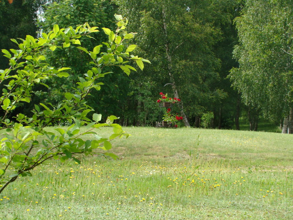 Bed and Breakfast Bobrowa Dolina Рын Номер фото
