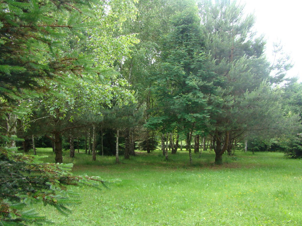 Bed and Breakfast Bobrowa Dolina Рын Экстерьер фото